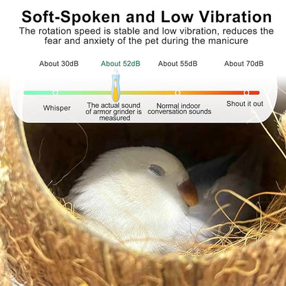 Bird Nail Grinder,Bird Nail Trimmer,Bird Beak Trimmer with LED Lights,Electric Bird Beak Grinding Stone,with 6 Grinders Adjustable Speed,for Budgies,Parakeets,Conure,Cockatiels,Lovebirds,Finches.
