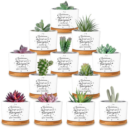 Seewey 12 Pcs Inspirational Succulent Pots Thank You Gift Bulk for Women Employee Teacher Coworker Sometimes You Forget You're Awesome Small Ceramic Plant with Bamboo Trays for Office Staff Graduation