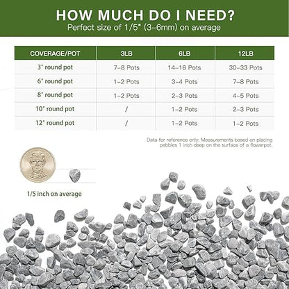 NUPICK 12 lbs Pebbles for Indoor Plants, 1/5 Inch Pea Gravel for Fish Tank, Decorative Rocks for Succulent, Natural River Stones for Vases, Cactus, Landscaping, Bird Bath, Aquarium, Grey
