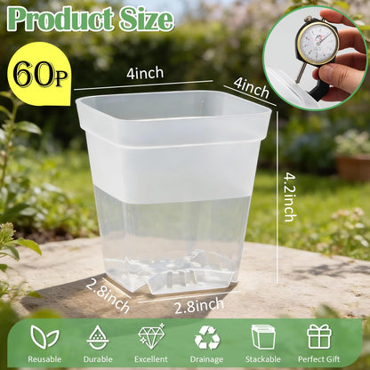 RooTrimmer 60 Pcs Clear Square Nursery Pots 4 Inch, Reusable Seedling Pots with Drainage Holes, Transparent Small Plant Potting Pot Containers for Seedlings Microgreens, Flowers, Indoor Gardening