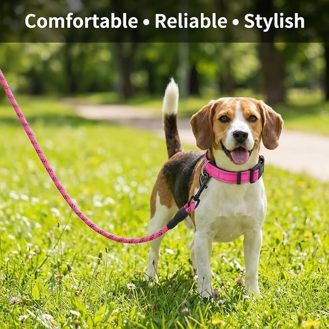 Dog Leash and Collar Set – 6 FT Strong Rope Leash with Padded Handle & Adjustable Nylon Collar Reflective for Small Medium Large Dogs (Pink, S)