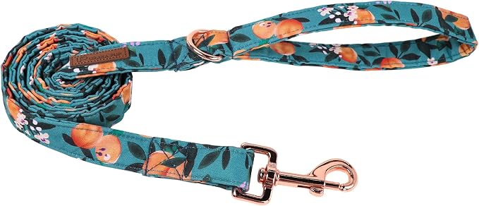 Summer Dog Leash Match Dog Collar, Sturdy Durable Peach Cotton Dog Leash, Summer Dog Training Leash for Small Medium Large Dog, Summer Dog Leash