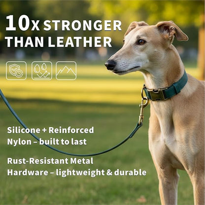 Silicone Dog Collar and Leash Set, Waterproof & Odor-Proof Puppy Collar for Small Dogs, Soft Flexible Leather-Look Dog Collars, Durable Thick Adjustable Pet Collar (Green, Large (16-24.5" Neck))