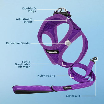 Best Pet Supplies Voyager Step-in Air All Weather Mesh Harness and Reflective Dog 5ft Leash Combo with Neoprene Handle, for Small, Medium and Large Breed Puppies - Set (Purple), X-Small