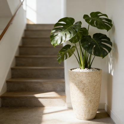 Worth 9 Gallon Tall Round Planters Set of 2-14" Dia x 21" H Stone Finish Flower Pots Indoor Decorative Container Garden Patio Unbreakable Beige
