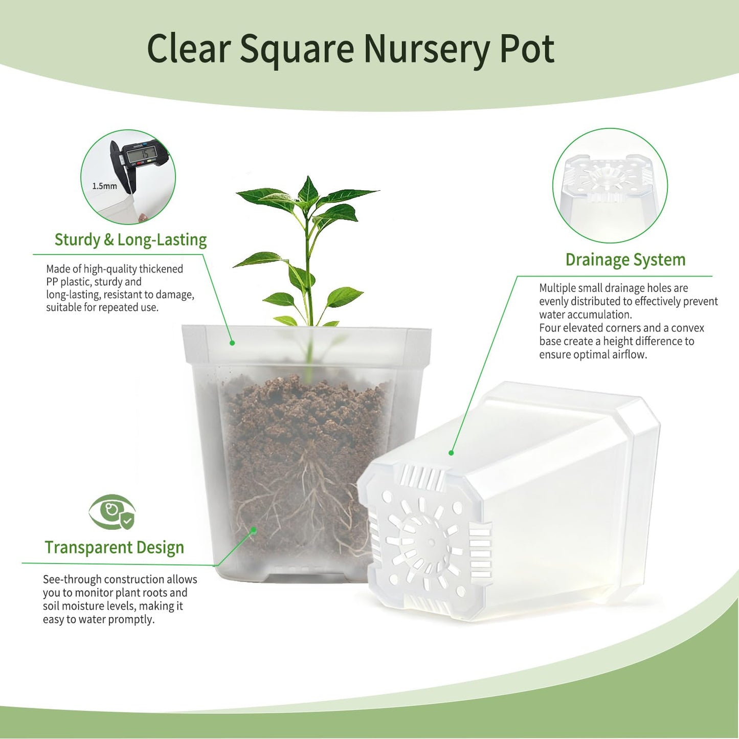 Plgardpo Clear Nursery Pots with Drainage, Square Plastic Plant Pots, 3 Inch Clear Seed Starter Flower Pots, 30 Pcs Small Pots for Seedling