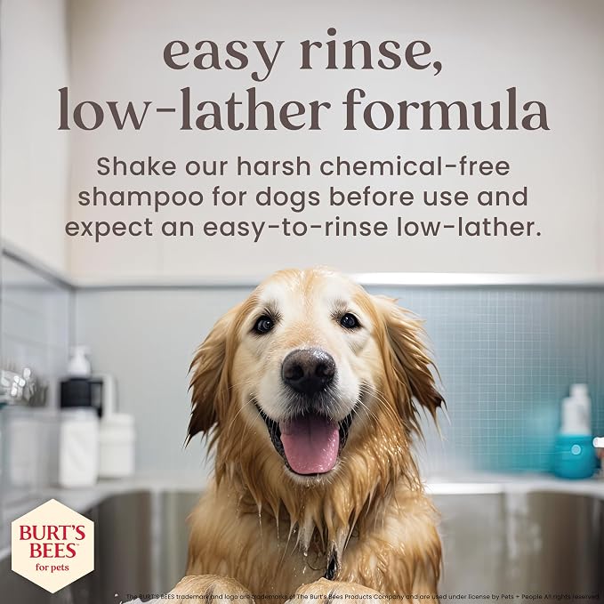 BURT'S BEES FOR PETS Deodorizing Spray for Dogs, Manuka Honey & Charcoal, Reduces Odor Between Baths, 95%+ Natural Origin, No Artificial Fragrance, Sulfates or Colorants, Milk & Honey Scent, 10 Fl Oz