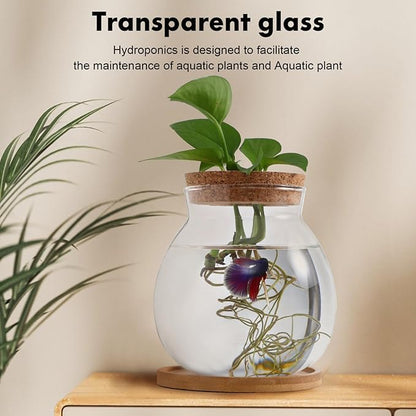 Beavorty Desktop Fish Tank Small Glass Fish Bowl with Cushion 5.51X5.11X1.18In Hydroponic Plant Terrarium Betta Bowl for Home Office Decoration