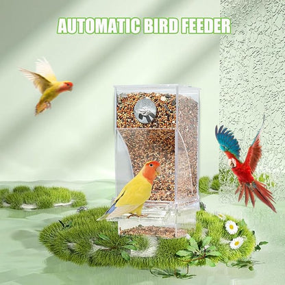 No Mess Automatic Bird Feeder, Acrylic Transparent Parrot Feeder Cage Accessories, Parrot Seed Food Feeder Container Cage Accessories for Small Medium Birds Parakeets Lovebirds (Transparent)