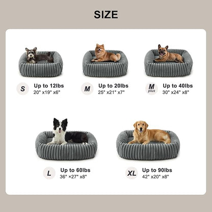 FURTIME Dog Bed for Small Medium Dog, Washable Orthopedic Pet Bed with Removable Cover, Rectangle Soft Calming Sleeping Puppy Bed Durable Pet Cuddler with Anti-Slip Bottom, Grey, M (25"x21"x7")