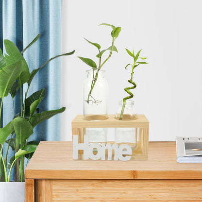 LALAFINA Nordic Style Hydroponic Plant Holder Glass Vase with Wooden Stand, Indoor Desktop Planter Terrarium for Home Garden Décor, 2pcs