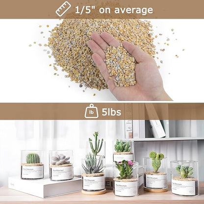 Mulctun 5Lbs Aquarium Gravel, 1/5" Fish Tank Gravel, Succulent Cactus Rocks for Plants Indoor Outdoor, Pea Gravel for Landscaping Vases, Terrarium,Top Dressing, Flower Pots