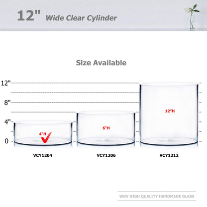 WGV Cylinder Vase, Open Width 12", Height 4", Clear Flat Pan Style Container, Planter Terrarium, Floral Centerpiece for Wedding Party Event, Home Office Decor, 1 Piece