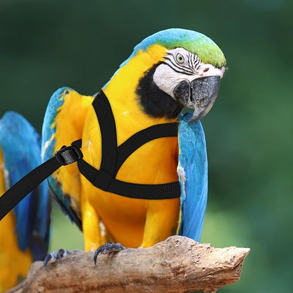 2 pcs Pet Parrot Bird Harness and Leash, Adjustable Training Design Anti-Bite, Outdoor Flying Training Rope Kit for Bird Parrots Fits Birds Chest Between46-76cm /18.11-29.92inch - XL (Black)