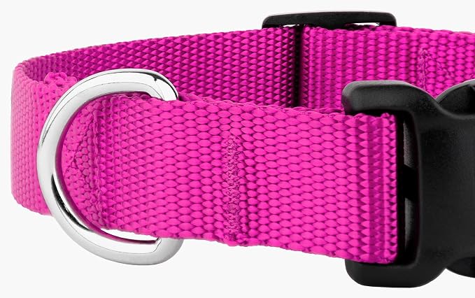 Country Brook Petz - Everyday Nylon Dog Collar and Leash - 10+ Cool Colors (1 Inch, Extra Large, Fuchsia)