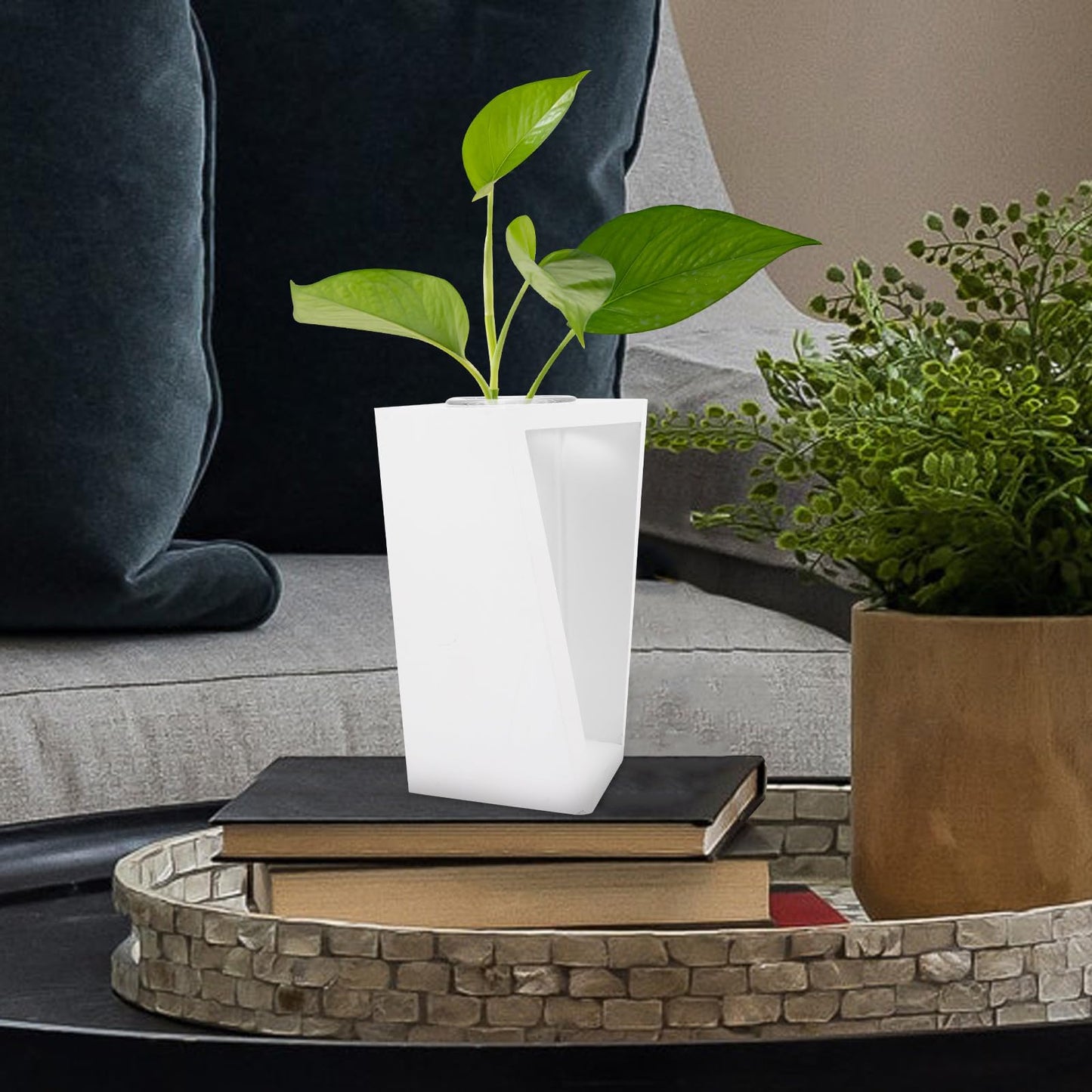 DOITOOL Test Tube Plant Vase with White Wooden Rack, Small Glass Propagation Terrarium Container for Indoor Hydroponic Plants and Home Décor