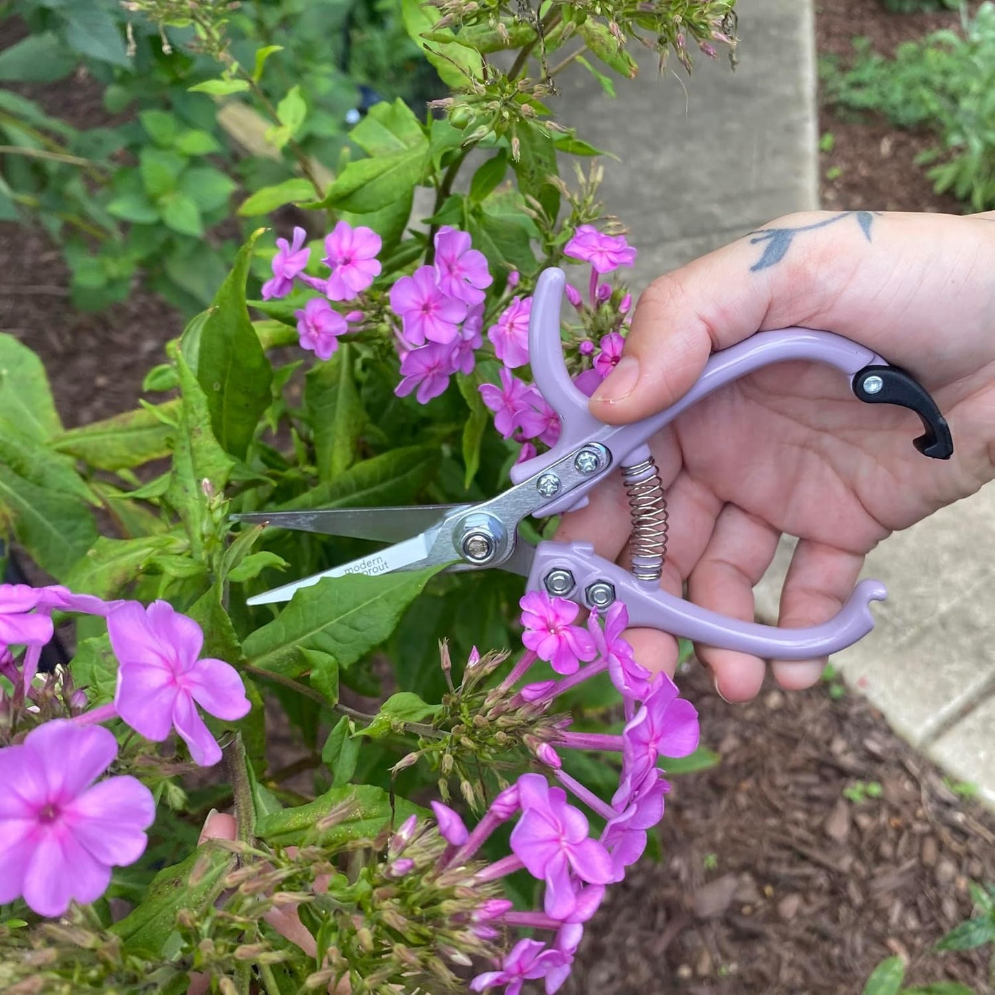 Modern Sprout Pruning Shears - Herb Snipping Scissors- Lightweight Gardening Tools W/Easy Lock - Flower Cutter Garden Shears - Carbon Steel Blade + Plastic-Free Reusable Holster (Multicolor 12 Pcs)