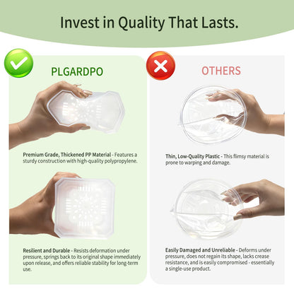 Plgardpo 4 Inch Clear Nursery Pots for Plants, 30 Pcs Square Plant Pots, Small Flower Pots for Plants, Hard Planters for Indoor Plants