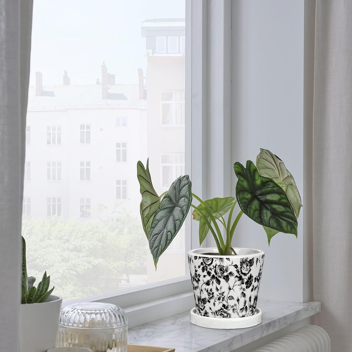 Set of 3 Black Plant Pots, Small Flower Pots Round Planter Pot with Drainage Hole and Saucers Modern Ceramic Planters for Indoor Plants Succulents Cactus Orchid Garden 5.5 Inch Outdoor Plant Pot