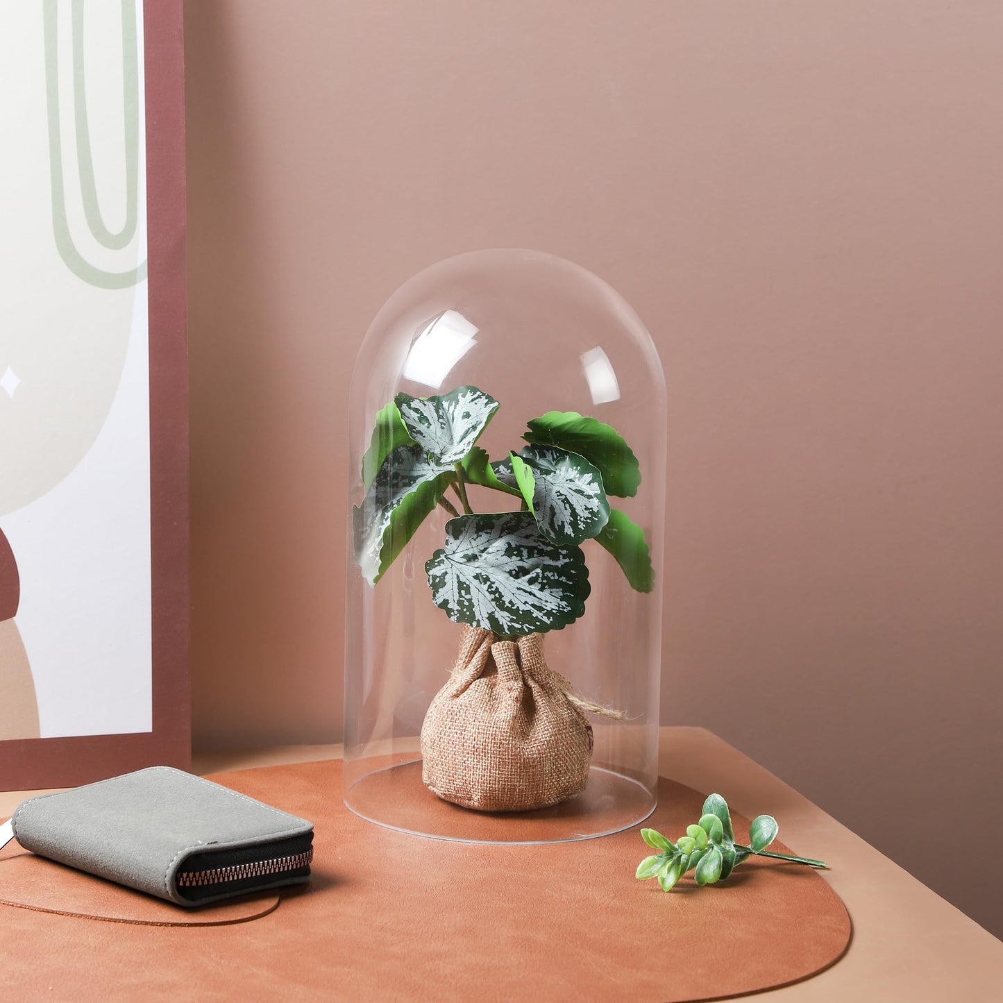 10" Tall Clear Glass Display Cloche, Dome Shape for Terrarium, Plants, Trinkets, Cakes, Figurines, LED Light String, Candle. Cloche Glass Dome, Bell Jar Display Case (1, 5.5"x10")