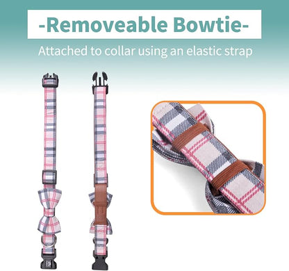 IVY&LANE Dog Collar with Bowtie and Leash Set | Plaid Adjustable Dog Collar | Detachable Bow Tie |5 FT Dog Leash | for Small Medium Large Dogs | Checkered Beige | Medium