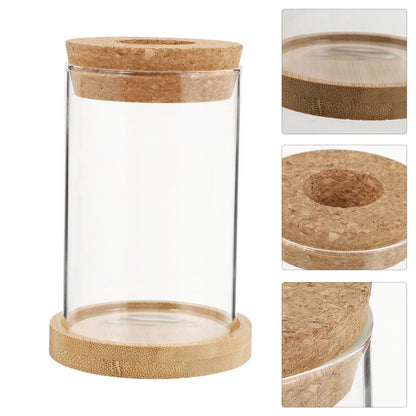 jojofuny 2pcs Glass Planter Vases for Hydroponics Plants 6.5x10in Desktop Terrarium with Stand Set for Home Office Gardening