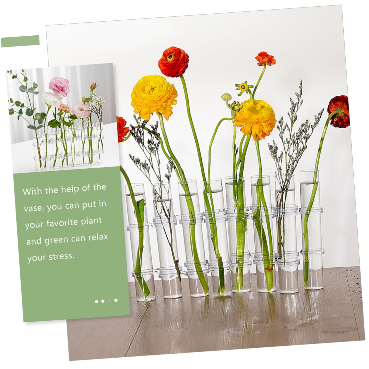 VICASKY Hydroponic Test Tube Vases 6-Piece Glass Plant Propagation Kit for Indoor Home Decor Wall Hanging Planter and Desktop Terrarium Arrangement