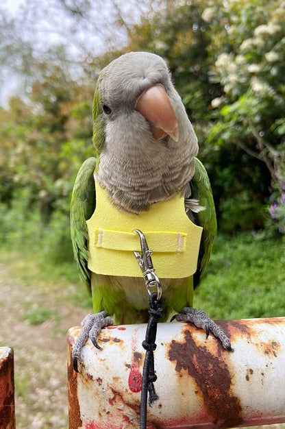 Bird Flight Harness Vest Parrot Flight Suit with Leash for Parakeets Cockatiels Conures Budgies, Bird Flying Clothes with Rope and Handle for Outdoor Activities Training (2M,Yellow)