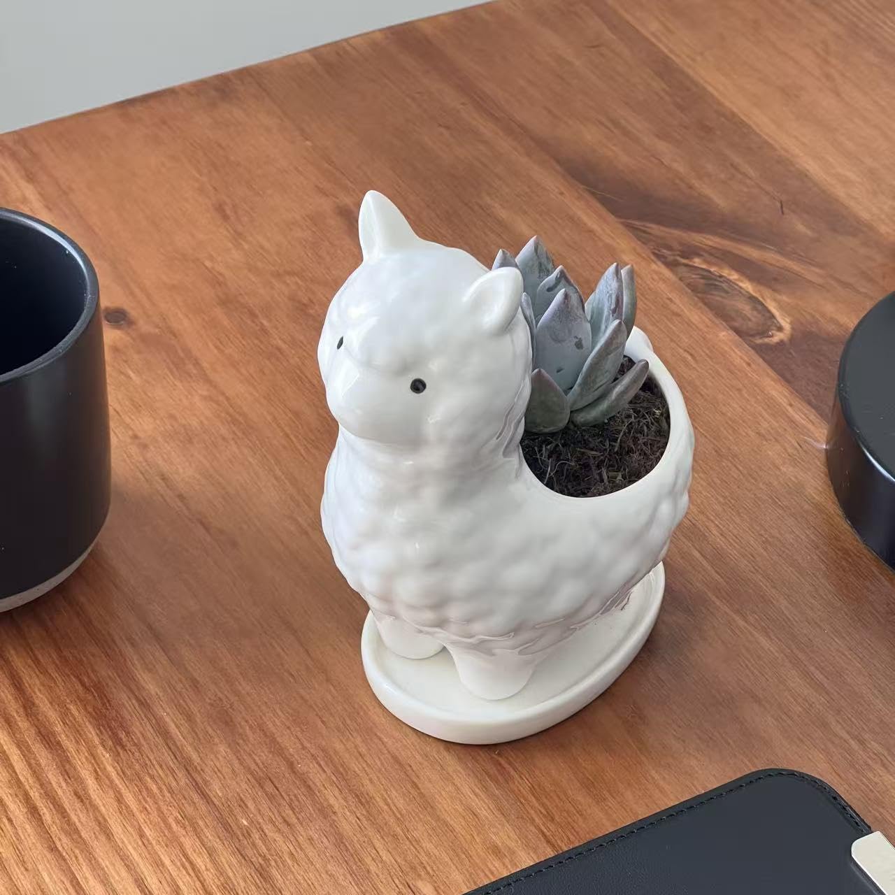 Succulent Planter Pot with Drainage Hole – White Ceramic Animal Pot for Small Plants, Cactus, Flowers – Indoor Outdoor Garden Patio Balcony Decor, Cute Gardening Gift, 6 Inch