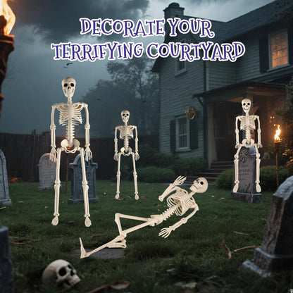 Toolterritary 36" Halloween Skeleton, 3 ft Human Skeleton Full Body Posable Joints Plastic Skeleton for Halloween Decoration, Yard Patio Lawn Garden Skeleton Spooky Party Decoration Indoor Outdoor
