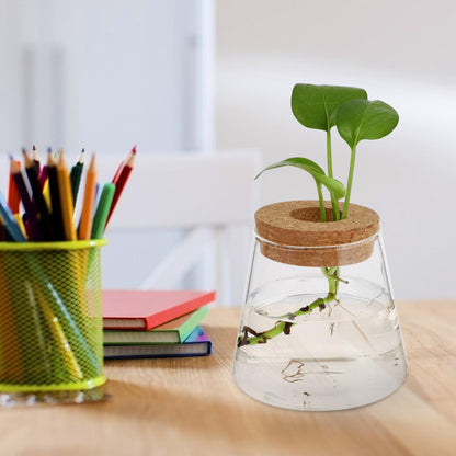 DOITOOL 2pcs Hydroponic Glass Planting Pots Small Terrarium Vase with 6.5cm Opening for Indoor Garden Decoration and Water Plant Propagation