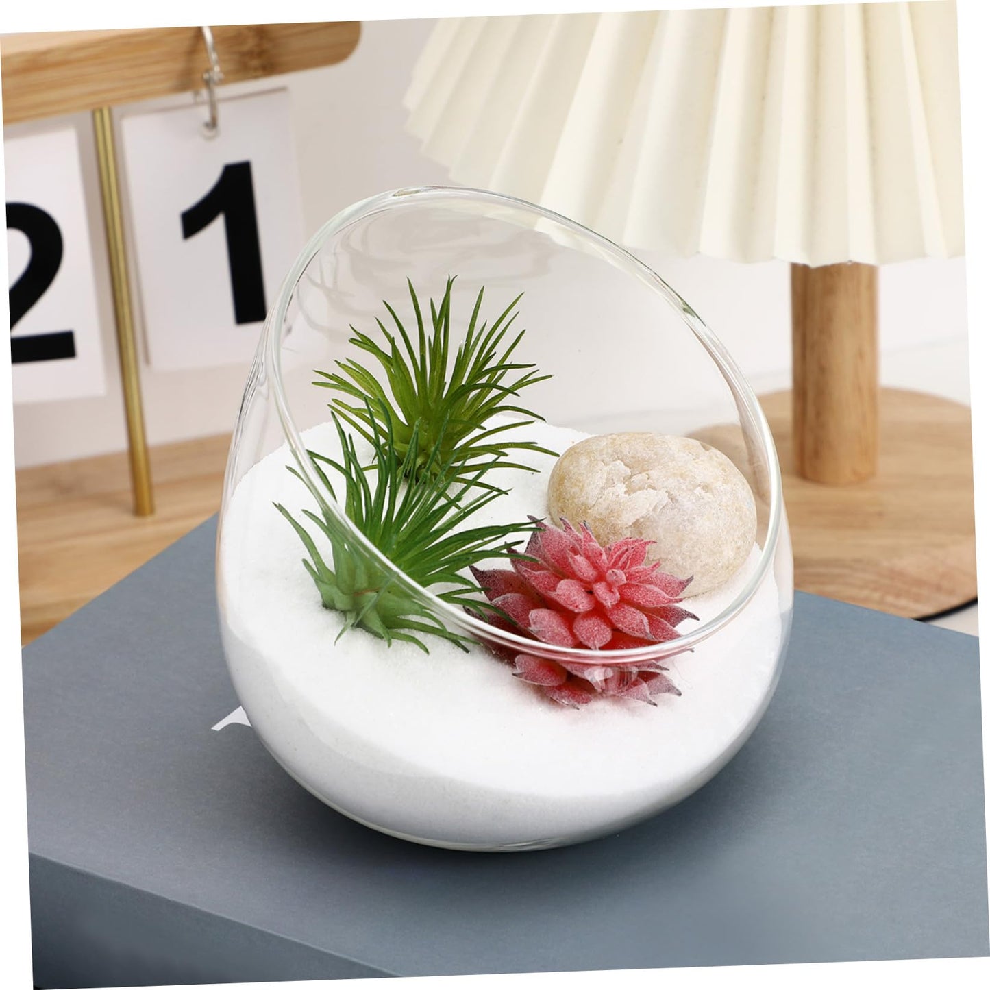 Abaodam 1Pc Transparent Succulent Bottle Decor Micro Landscape Glass Bottle for Home Store for Air Plants Moss Terrariums Elegant Decoration for Space