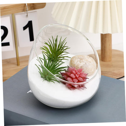 Abaodam 1Pc Transparent Succulent Bottle Decor Micro Landscape Glass Bottle for Home Store for Air Plants Moss Terrariums Elegant Decoration for Space