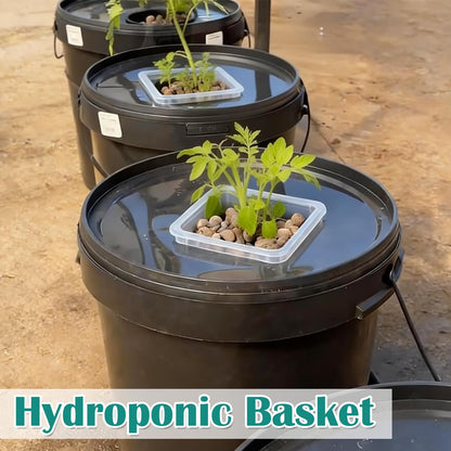 BTPLASTIK Clear Square Nursery Pots, 15 Packs 6 Inch Hydroponics Growing Square Pots, Transparent Plastic Plant Pots for Seed Starting, Root Cutting