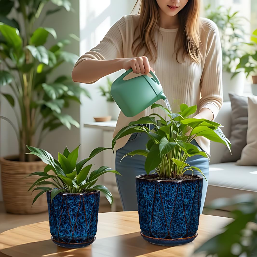 Oairse Ceramic Pots for Plants, 8+6 inch Plant Pots with Drainages Holes & Saucers Large Blue Ceramic Planters Decorative Flower Pot for Indoor Plants Outdoor Inoor