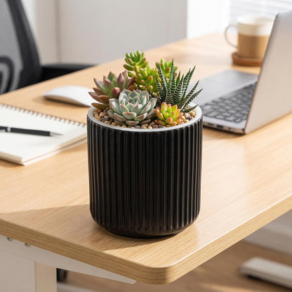 TineDew 2 Pack of 4in Ceramic Cachepot with 4 inch Clear nusery Pot - self Watering Indoor Planter with Drainage for Root Visibility,semi Hydro pots for repotting Succulent,Black