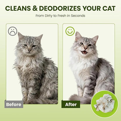 Hypoallergenic Pet Wipes for Dogs & Cats – Quick Clean & Deodorize Paws, Butt, Eyes, Ears, Face & Fur | Daily Grooming After Walks and Between Baths | Extra Large & Thick | Coconut Scented, 400 Count