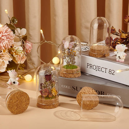 BENECREAT 10Pcs Dome Decorative Jars, 1.8x3.5inch Glass Display Dome Cloche Glass Bell Jar with Cork Base for Flower Storage, Specimens, Crafts Decorations