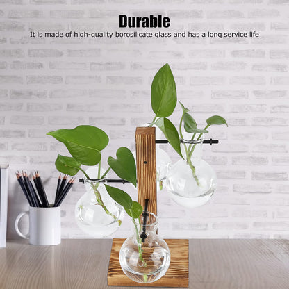 Glass Planter Bulb Vase, Innovative Hydroponic Vase Desktop Plant Terrarium Kit with Wooden Stand Transparent Desktop Flower Vase for Home
