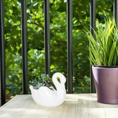 BESTonZON 1Pc Creative Swan Shaped Flower Pot Household Plant Container with Drain for Succulents Cacti for Home Office Garden Decor for Plant