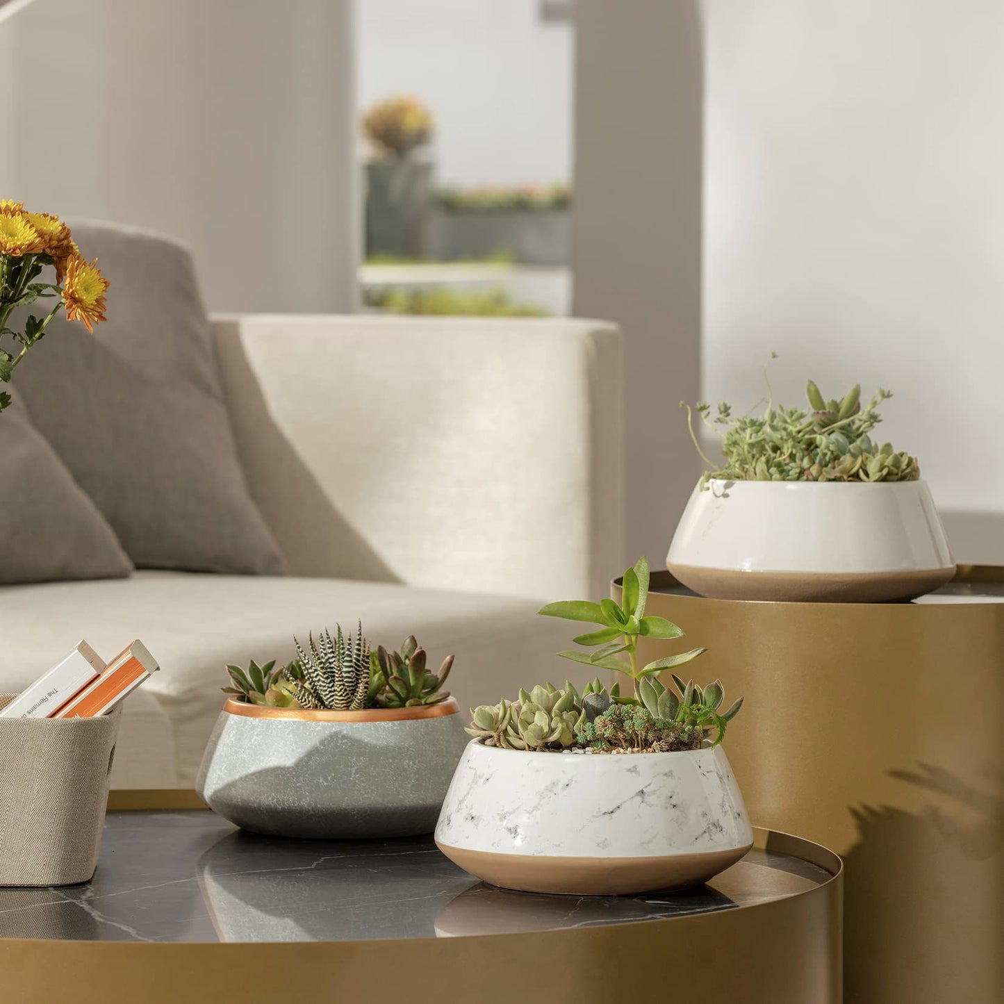 La Jolie Muse Large Succulent Planter Plant Pots, Ceramic Indoor Outdoor Garden Pot W/ Drainage for Plant Flower, 8 Inch, Splash Ink & Sandy Beige
