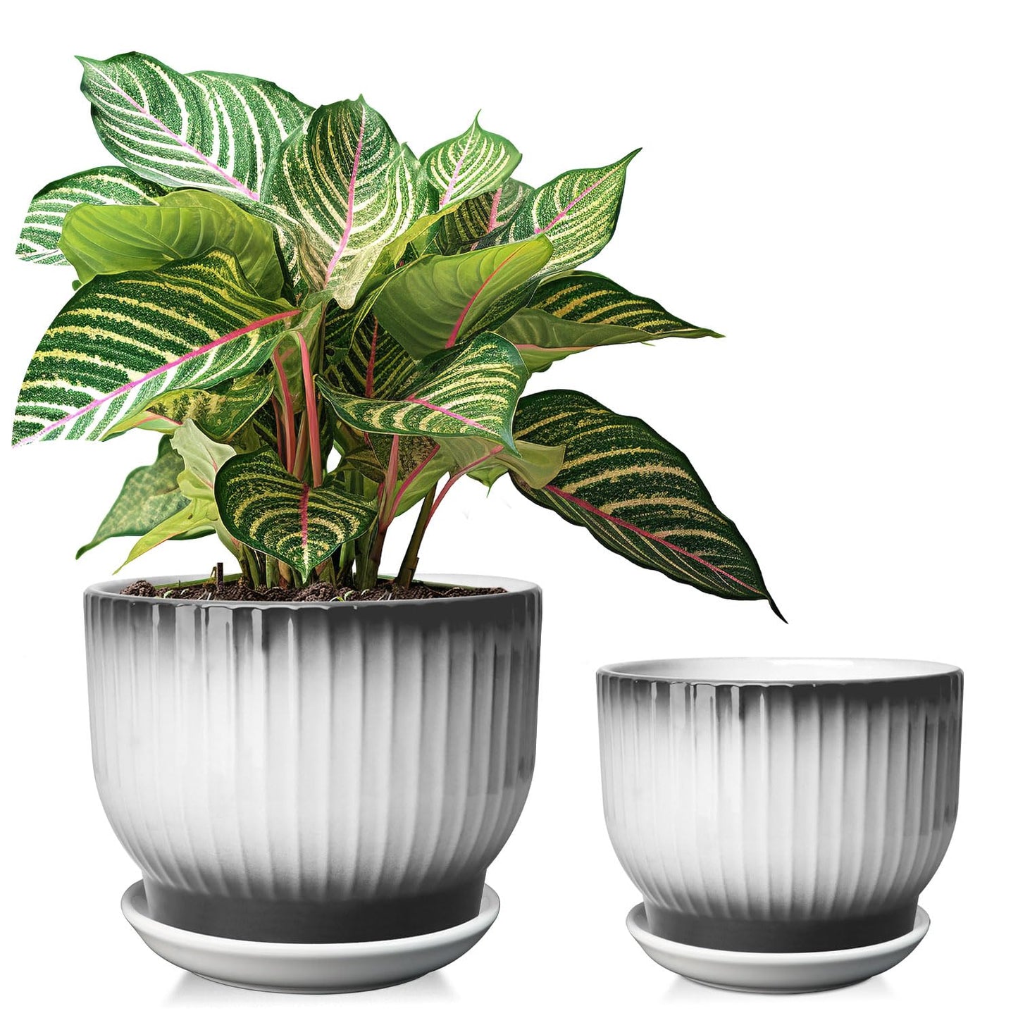 YUFDA 6.7 + 5.5 Inch Ceramic Plant Pots,Set of 2,Planters with Drainage and Saucer,Indoor Pots for Plants,Modern Flower Pots for Home and Office（Black + White）