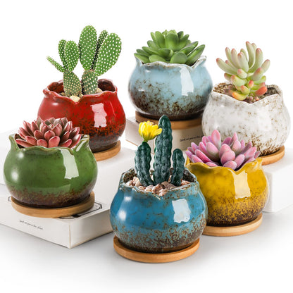 TOPZEA Set of 6 Succulent Plant Pots, 4 Inch Glazed Ceramic Pots with Drainage and Saucer, Mini Bonsai Planter Small Flower Pots for Indoor Outdoor Use