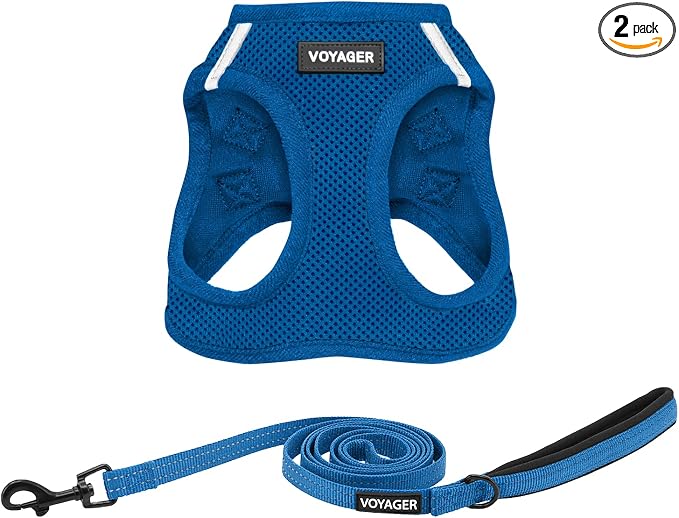 Best Pet Supplies Voyager Step-in Air All Weather Mesh Harness and Reflective Dog 5ft Leash Combo with Neoprene Handle, for Small, Medium and Large Breed Puppies - Royal Blue, Small