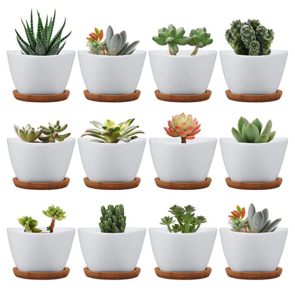 Brajttt Succluent Pots ，Small Flower Pots Planter Pots with Drinage,Ceramic Flowers Pots with Bamboo Tray for Cactus(12 Pack)