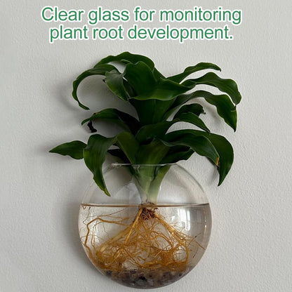 4 PCS Wall Propagation Planters, Wall Planter for Indoor Plants Oblate Glass Vases, Glass Flower Vase Holder for Hydroponics Plants Propagatio Modern Home Corridor Decor