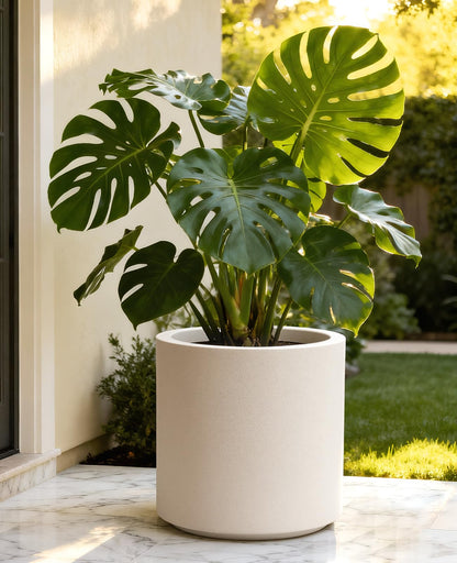 homenote Flower Pots 13.2 Inch,Large Plant Pots Indoor with Drainage,Plastic Pots for Plants,Garden Pots for Outdoor,Large Planters for Indoor Plants,Big Plastic Planter,Off-White