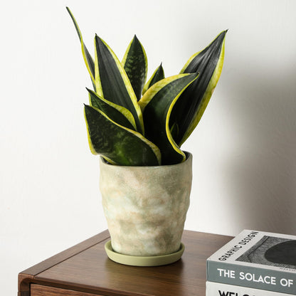 Pkeo Bbun 4+6 Inch Ceramic Planter Set of 2 with Drainage Hole,Saucer for Plants, Indoor-Outdoor Large Round Succulent Orchid Flower Pot- Cement Paint, Inner-pots not Larger Than 5 Inch Light Green