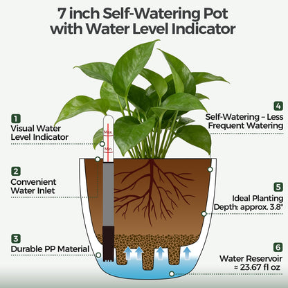 T4U Self Watering Pots for Indoor Plants, 7 Inch Self Watering Planters with Water Level Indicator, Bottom Watering African Violet Pots for Beginners & Busy Plant Owners, BPA-Free (2 Pack, White)