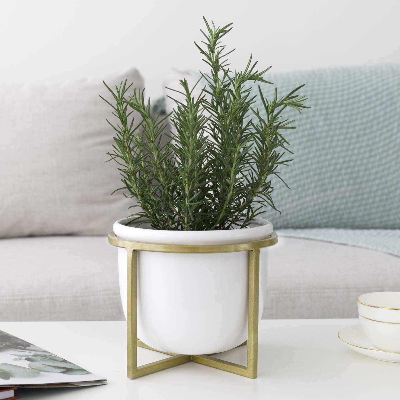 LA JOLIE MUSE Ceramic Flower Plant Pot with Stand - 6.7 Inch White Indoor Planter Pot with Gold Metal Stand for Herbs Orchids Cacti Succulents
